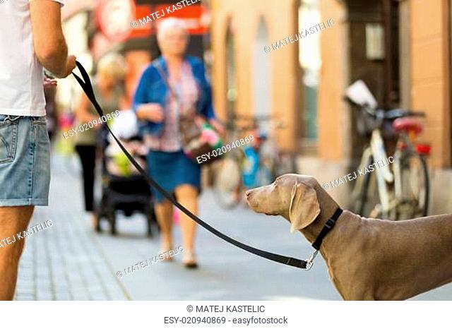 Guy with dog on leash