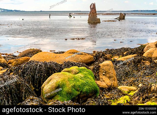 Stones and seaweed at Osmington Bay, with The Wreck of The Minx in the blurry background, Osmington Mills, near Weymouth, Jurassic Coast, Dorset, UK