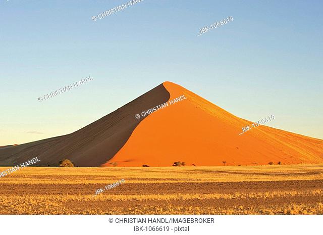 Sand dunes of the Namib Desert in sunset light, Republic of Namibia, Africa