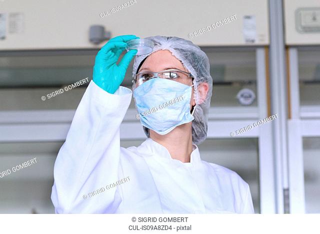 Female scientist examining petri dish