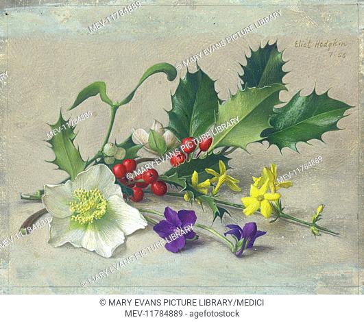 Holly, mistletoe, Christmas roses, violets and winter jessamine