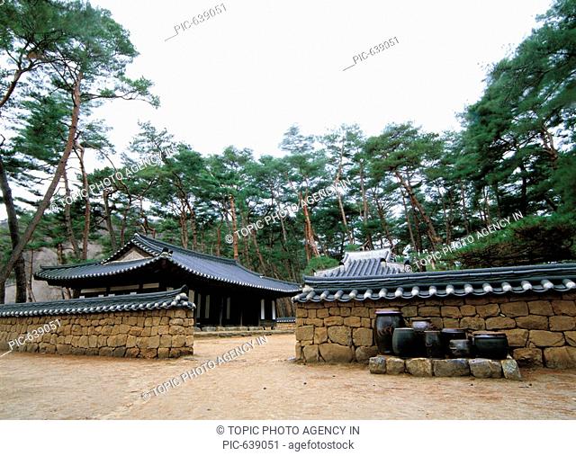 Pine, Traditional Korean-style House, Yeongwol-gun, Gangwon, Korea