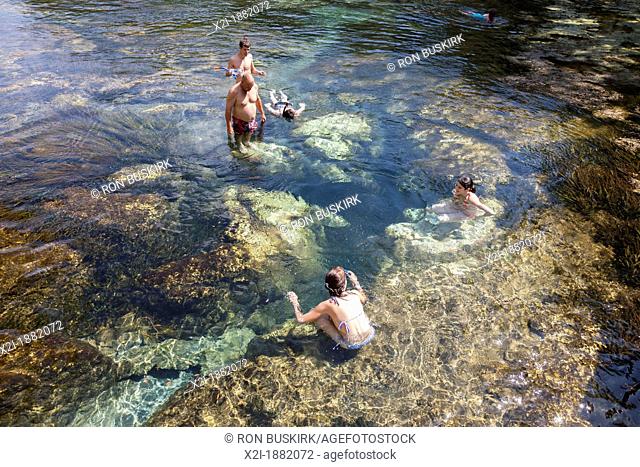 Man and children swim and play at Salt Springs Recreation Area in the Ocala National Forest, Florida