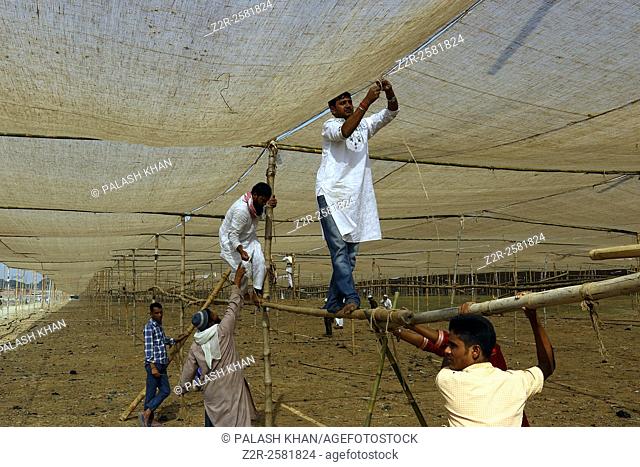 Dhaka, 26 December 2015. Bangladeshi Muslim volunteers fix a jute tent roof in preparation for the three day 'Biswa Ijtema' or World Islamic Congregation on the...