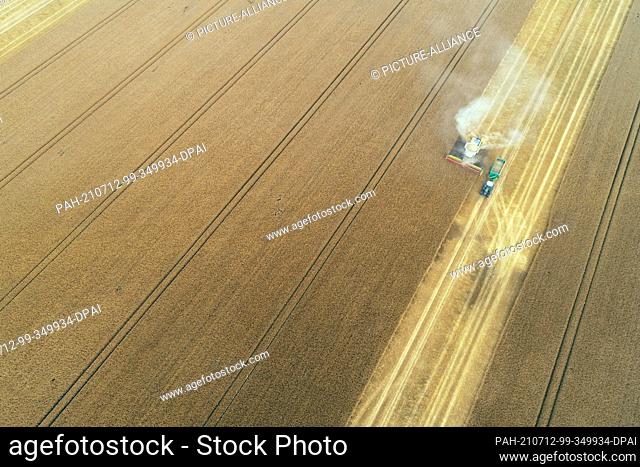 07 July 2021, Saxony-Anhalt, Zilly: View of a grain field with barley. In the grain fields of Saxony-Anhalt, farmers have begun harvesting