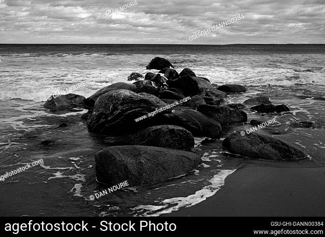 Black Rocks at Low Tide