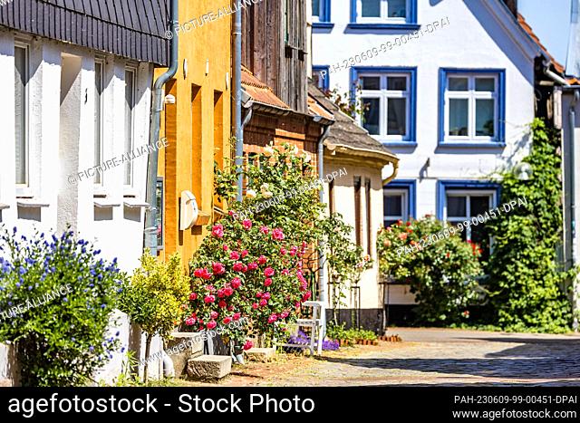 09 June 2023, Schleswig-Holstein, Schleswig: Ornate houses stand in the Schleswig fishing settlement of Holm. The name Holm comes from Danish and means 'small...