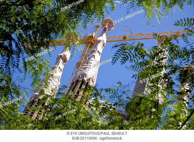 The spires of the basilica church of Sagrada Familia deisigned by Antoni Gaudi seen through the branches of a tree in the Eixample district
