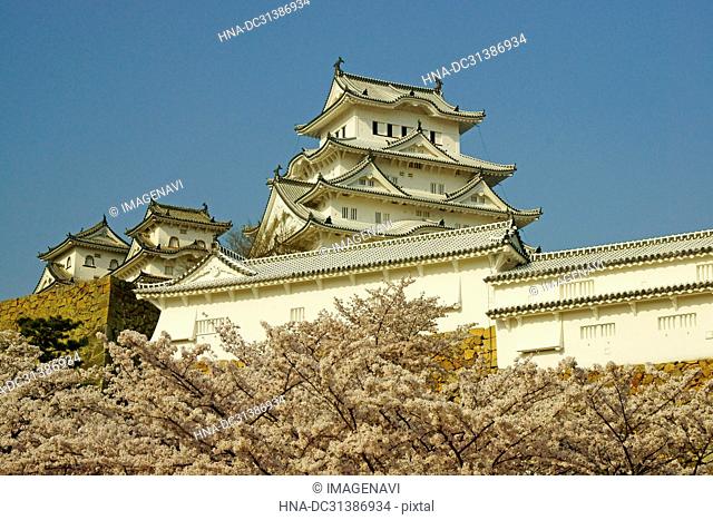 Himeji Castle in Spring, Hyogo Prefecture, Japan