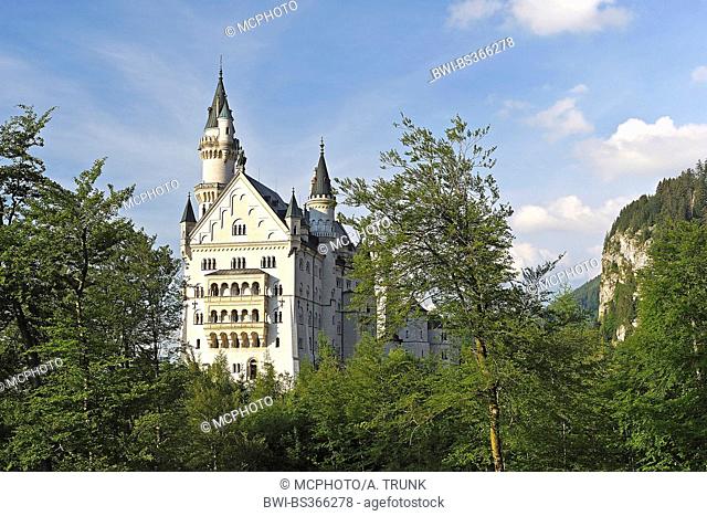 Castle Neuschwanstein, Germany, Bavaria, Ostallgaeu