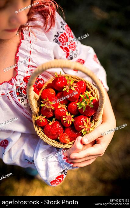 Closeup of woman's hands holding basket with organic garden summer strawberry berries. Healthy lifestyle and healthy eating. Vegetarian snack
