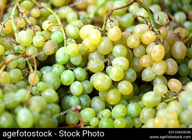 Background of freshly white grapes