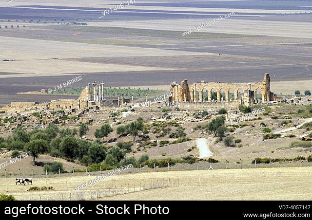 Volubilis, Berber and Roman city (from 3th century BC to 11th century AC), World Heritage Site. Meknes, Morocco