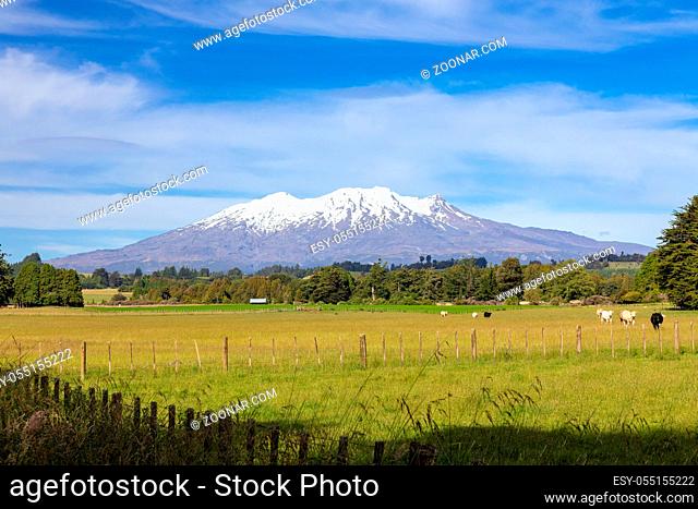 An image of a Mount Ruapehu volcano in New Zealand