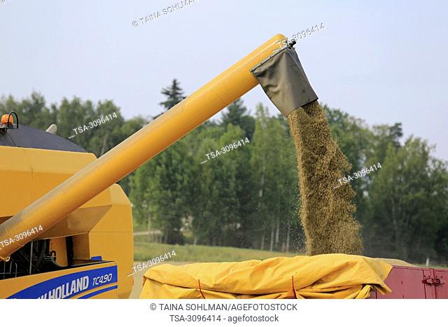 Salo, Finland - July 29, 2018. Harvesting barley in Salo, Finland. Grain harvest begins in South of Finland with LUKE's forecast of the smallest crop in 21st...
