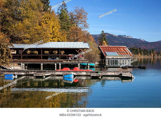 Autumn in the Walchensee, Bavaria, Germany