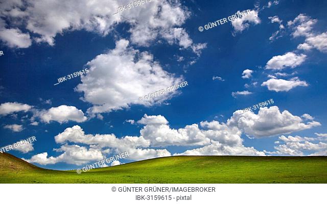 Pasture with blue sky and white clouds, St. Boswells, Scottish Borders, Scotland, United Kingdom