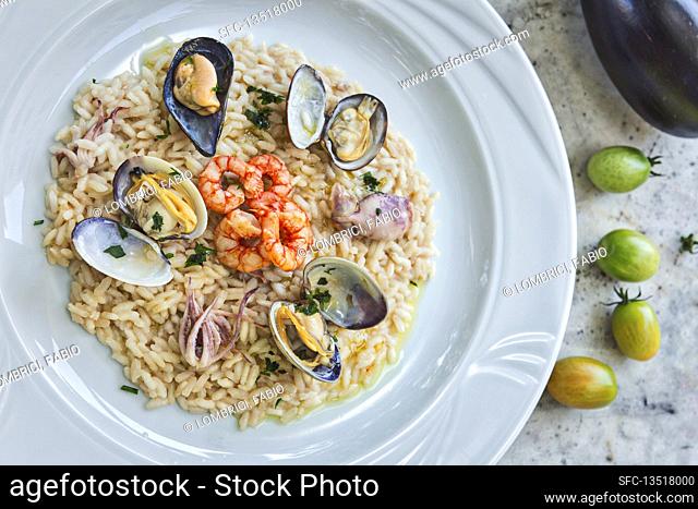 Sea food risotto, italian cousine