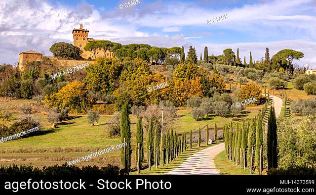 Typical view in Tuscany with cypress trees and beautiful country estates