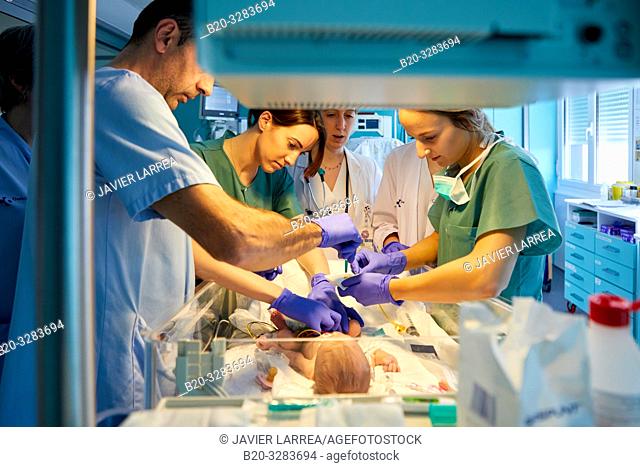 Team of doctors and nurses attending to a baby, Neonatal pediatrics, Medical care, Neonate Intensive care Unit, UVI, ICU, Hospital Donostia, San Sebastian