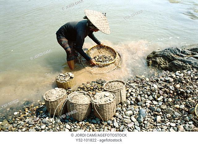 Gold prospector at the Mekong river, Laos