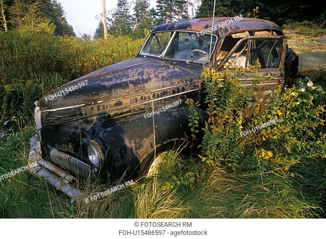 A junk car in a field of grass