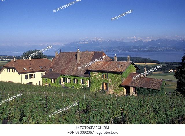 Switzerland, La Cote, Vaud, Lake Geneva, Scenic view of the village of Bougy-Villars and the countryside covered with vineyards along Lac Leman in the Canton of...