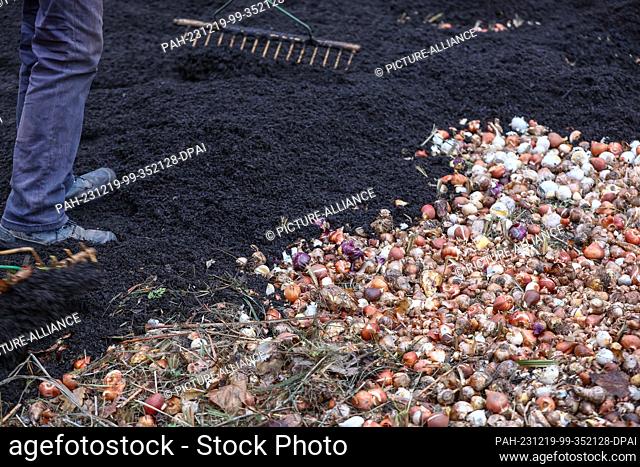 19 December 2023, Saxony-Anhalt, Bad Dürrenberg: Workers cover flower bulbs with soil on the grounds of the State Garden Show