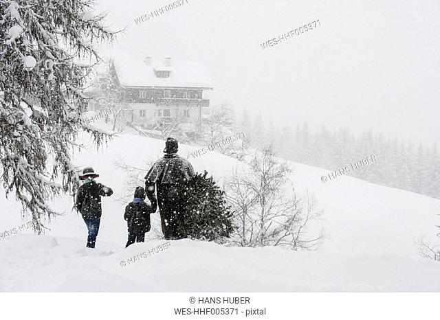Austria, Altenmarkt-Zauchensee, father with two sons carrying Christmas tree in winter landscape