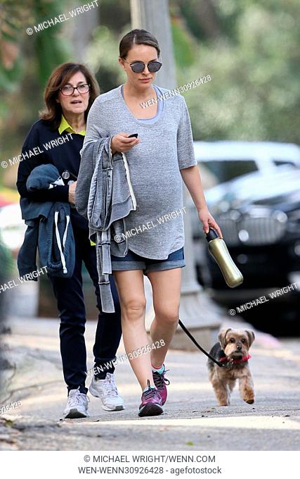 Pregnant Natalie Portman shows off her baby bump while out hiking with her mother and her dog Featuring: Natalie Portman, Shelley Stevens Where: Los Angeles