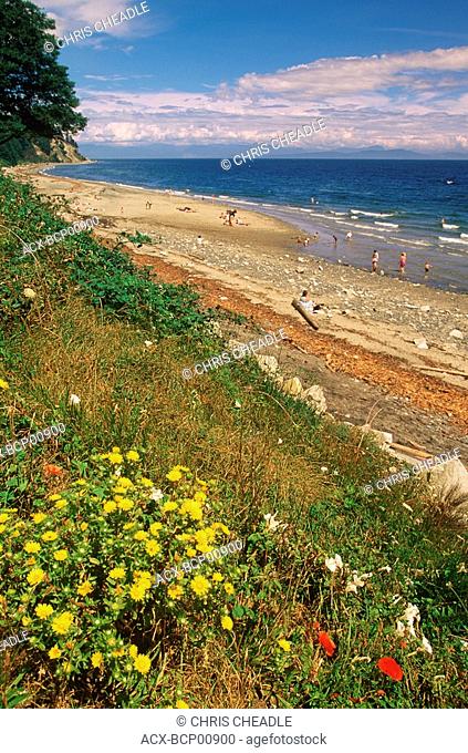 Rose spit from poppy covered hillside, Comox, Vancouver Island, British Columbia, Canada
