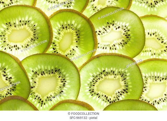 Kiwi fruit slices backlit