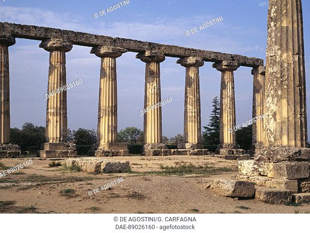 Columns of the Doric Temple of Hera or Tavole Palatine (Palatine Tables), Archaeological site of Metaponto, Bernalda, Basilicata, Italy