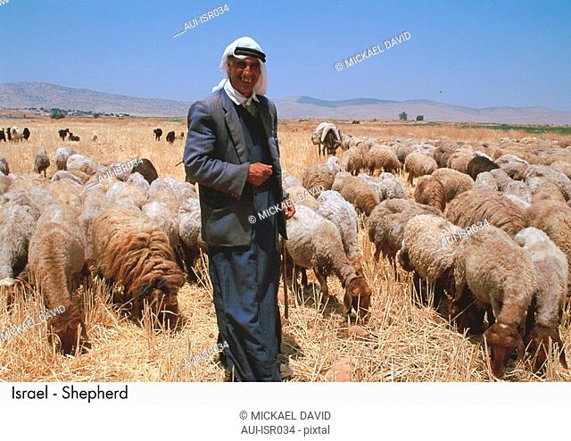 Israel - Shepherd