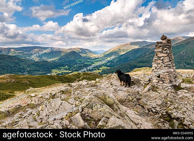 Trigpoint on the summit of Loughrigg Fell. A dog is enjoying the view looking towards Grasmere