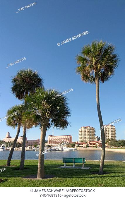 Palm trees in the park on the waterfront in downtown, St  Petersburg, Florida