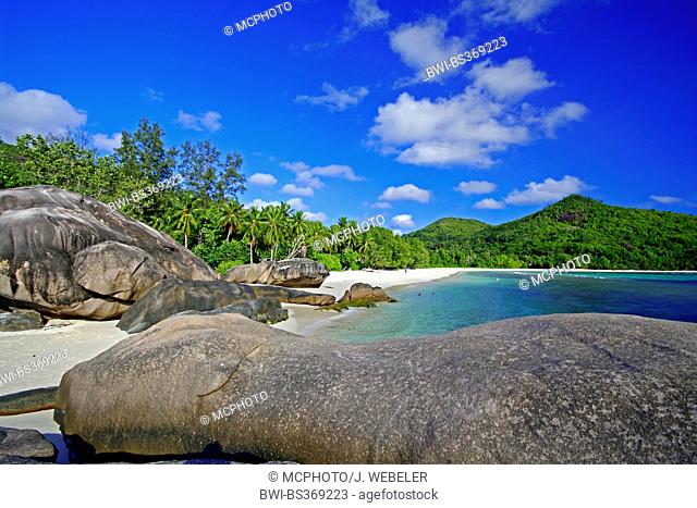 beach with granite rocks, palm trees and takamaka trees at the Baie Lazare at the western coast of the island Mahe, Seychelles, Mahe