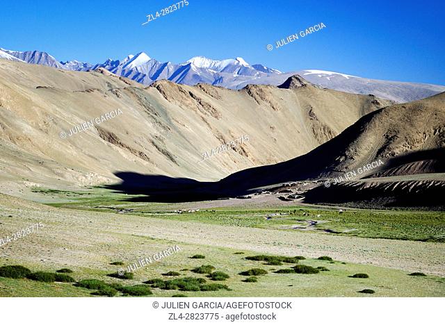 India, Jammu and Kashmir State, Himalaya, Ladakh, high-altitude plateau of Changthang (Changtang), Rumtse to Tso Moriri trek, Kyamar valley near Rumtse