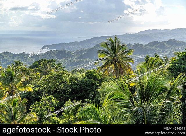 North America, Caribbean, Greater Antilles, Hispaniola Island, Dominican Republic, Sama, view over the coastal landscape of Sama Bay in the afternoon light