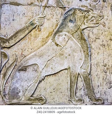 UNESCO World Heritage, Thebes in Egypt, ptolemaic temple of Deir el Medineh. Ammit, ""the devourer"" or the ""soul-eater"" is a composite animal with parts of...