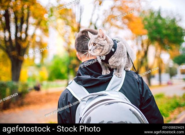 Portrait of tall young Caucasian happy man outdoor playing with gray funny handsome kitten sits on his back on transparent cat backpack carriers bag