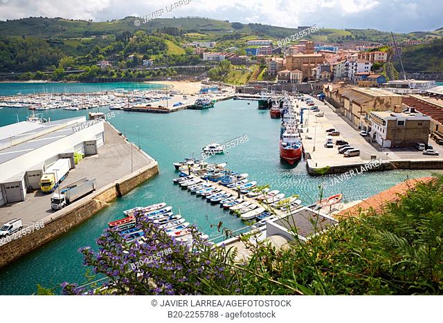 Port. Getaria. Gipuzkoa. Basque Country. Spain