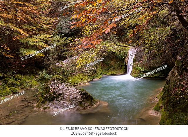 Urederra River rises in the southern slopes of the Natural Park of the Sierra de Urbasa and Andia. The way to its source is flanked by a centenary beech forest