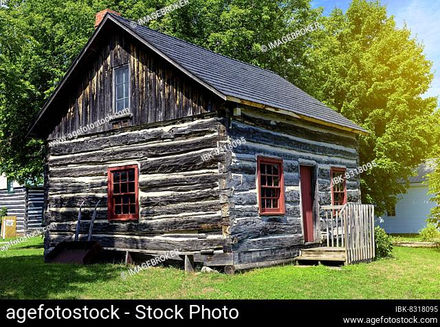 A lonely little house in the woods, lonely little log cabin in the green forest Fiordo de Geiranger, Norway, Europe