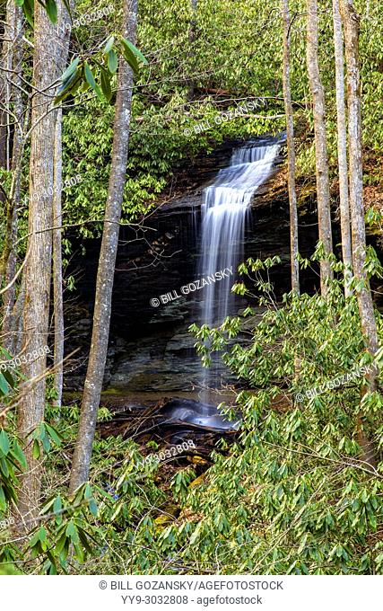 Little Moore Cove Falls - Pisgah National Forest, Brevard, North Carolina, USA
