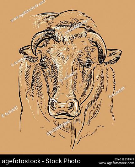 Bull head tattoo Stock Photos and Images | agefotostock