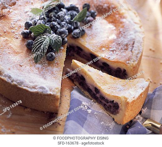 Blueberry quark cake (1)