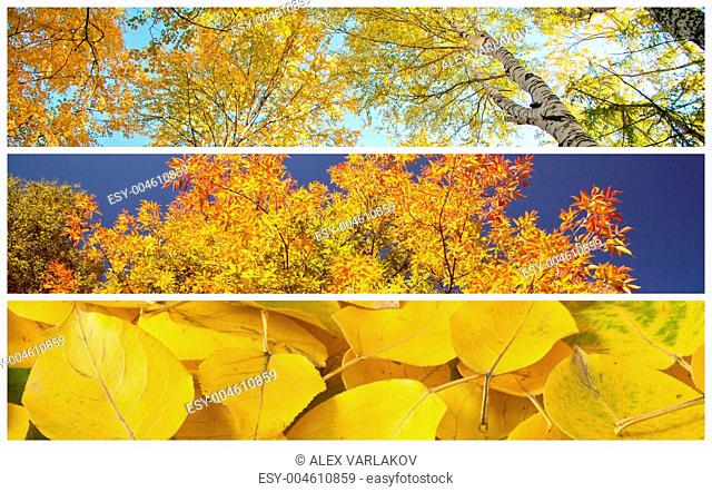 Set of autumnal background