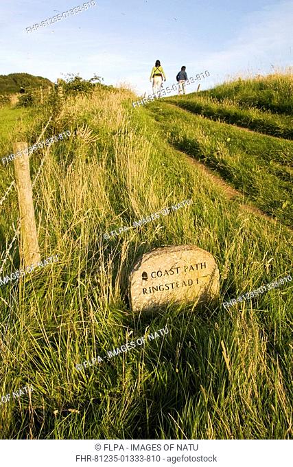 Stone Coast Path waymarker, walkers on coastal path in evening sunshine, Osmington Mills to Ringstead Bay, Dorset, England, summer
