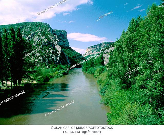 Ebro river gorge. Valdenoceda. Burgos province, Spain